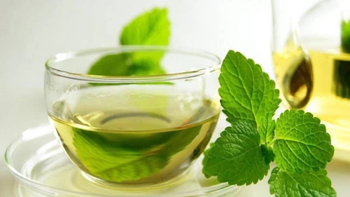 infusiones con plantas aromáticas