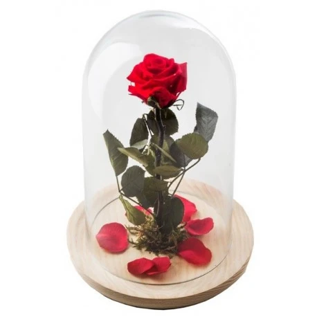 regalos con flores originales