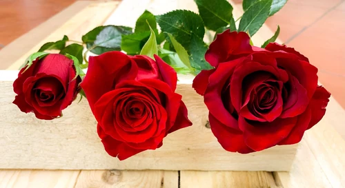 una flor para cada mujer