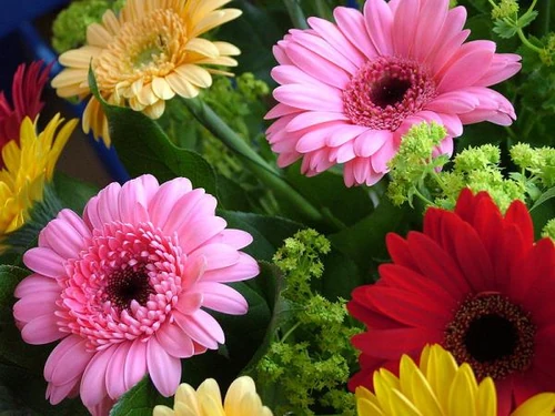 Una flor para cada mujer