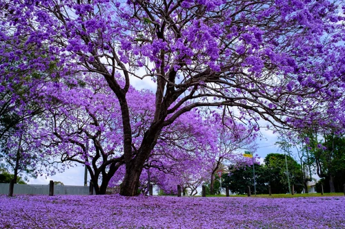 paisajes naturales más hermosos del mundo
