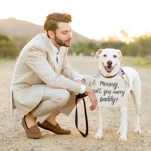 formas originales de pedir matrimonio