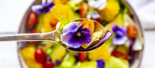 Plantas con flores comestibles 