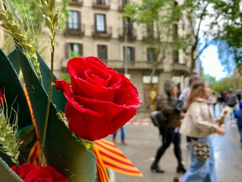 cuando se celebra Sant Jordi en Cataluña 