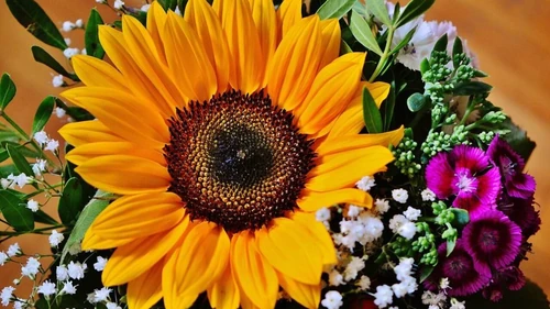 cuándo regalar flores