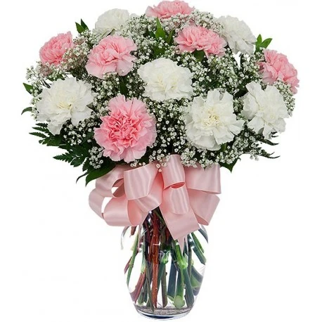 flores que se regalan en san valentin 