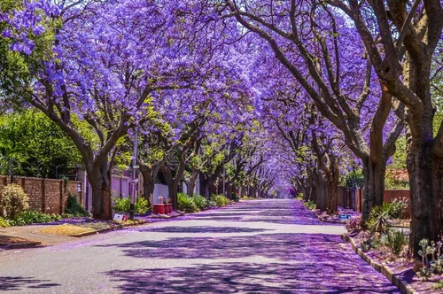 7 lugares mas recomendados por fotógrafos en primavera