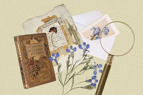 lenguaje de las flores y su significado 