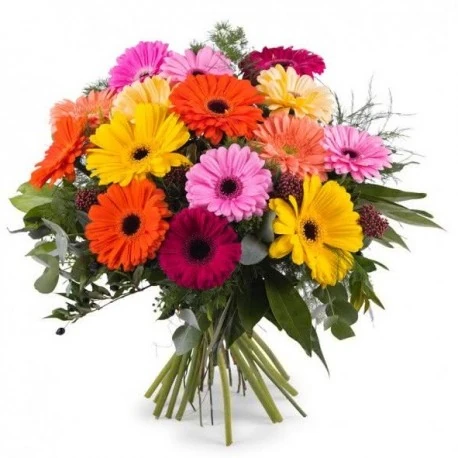 Flores para regalar en el Día del Padre
