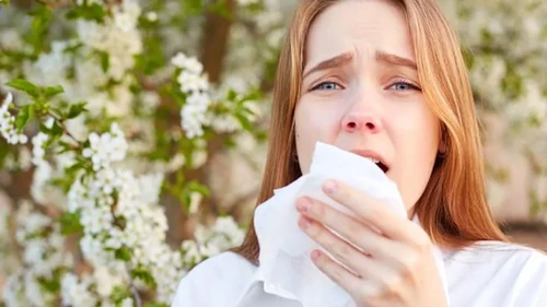flores que dan alergia 