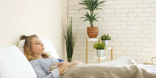 mitos de las plantas