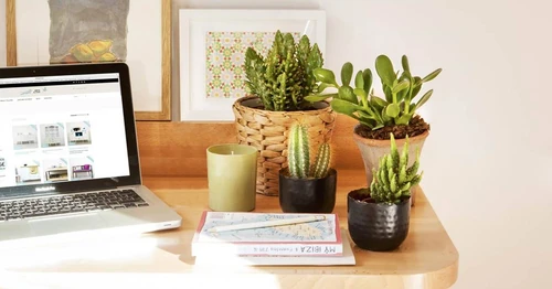 mitos de las plantas