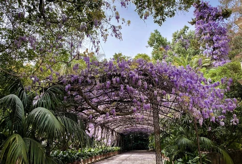 Lugares con muchas flores