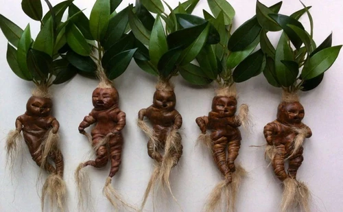 plantas lloronas de Harry potter 