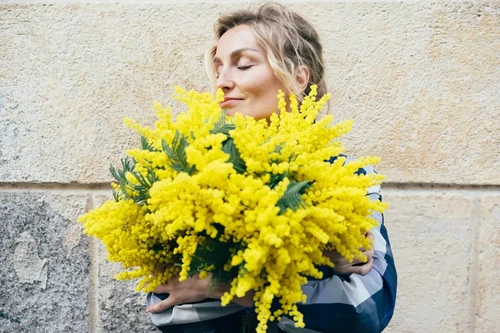 mimosa Día de la Mujer