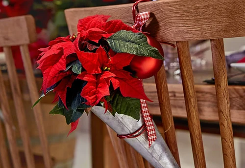 decoración navideña con flores de pascua 