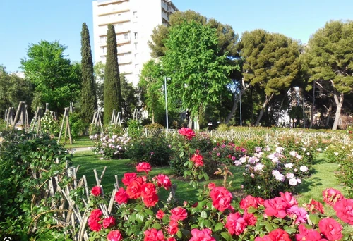 fiestas de flores