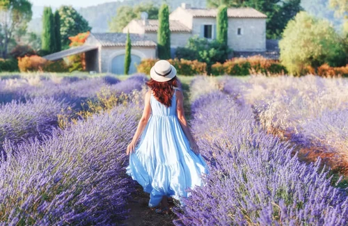 7 lugares mas recomendados por fotógrafos en primavera. 