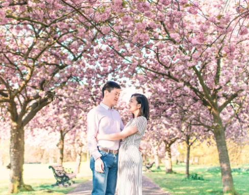 Hanami en Japón