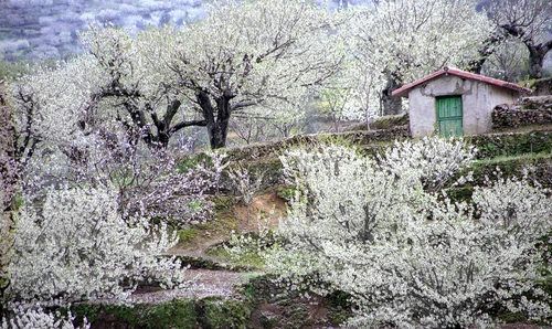 Lugares fotograficos