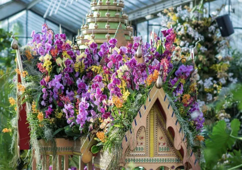 curiosidades de las orquídeas