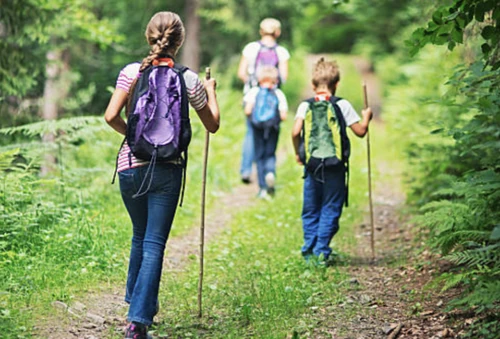 10 actividades con niños y plantas