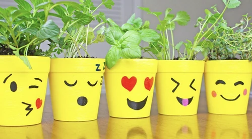 10 actividades con niños y plantas