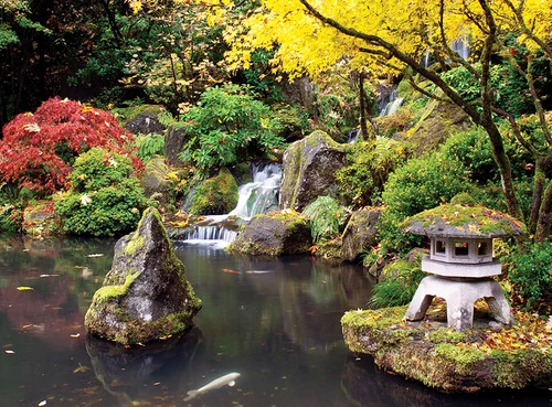 jardines para visitar en invierno