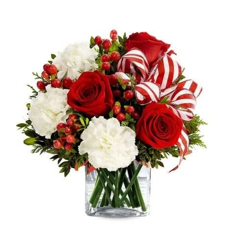 flores de navidad decoración 