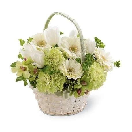 flores de invierno para ramos
