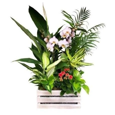 ideas originales con flores 