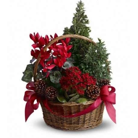decoración flores navidad 