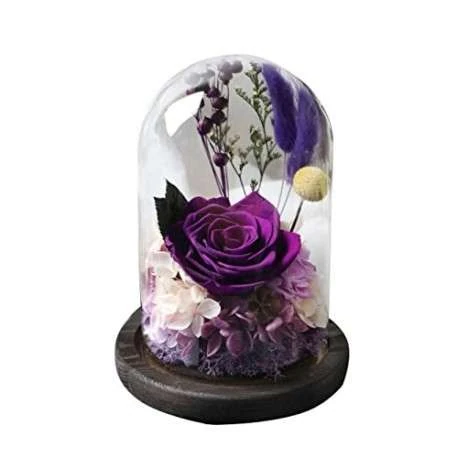 rosa morada significado espiritual 