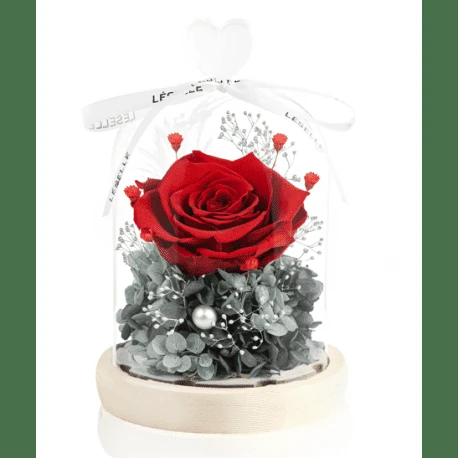 regalo rosa bella y bestia 