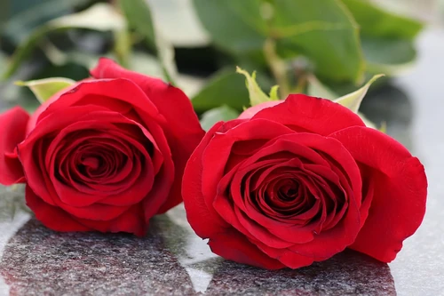 Porqué se envían flores en los funerales