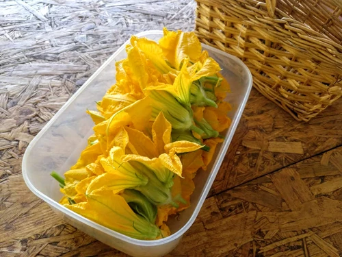 7 flores para cocinar