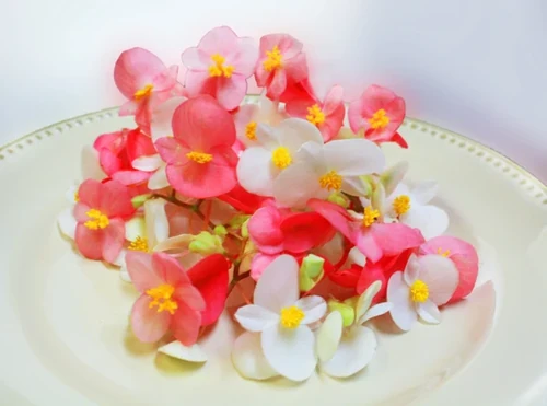 7 flores para cocinar