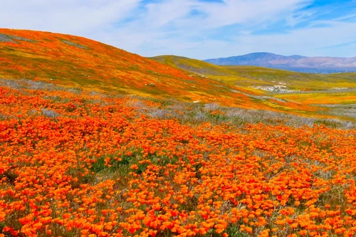 7 lugares mas recomendados por fotógrafos en primavera. 