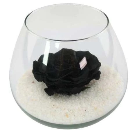 comprar rosa negra online 