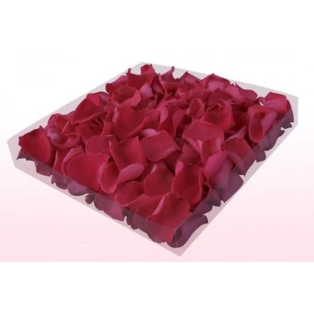 flores preservadas