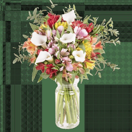 que flores llevar a un hospital 