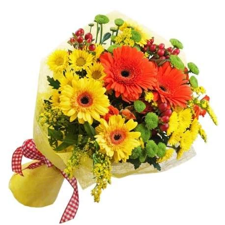 que tipo de flores se le regala a un hombre
