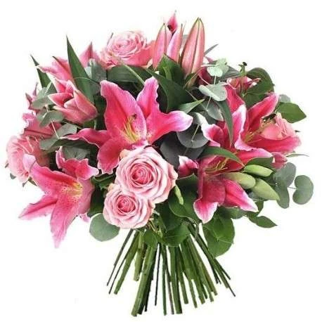 que flores le puedo regalar a mi novia 