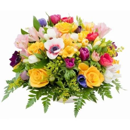 significado de regalar rosas amarillas a una mujer 