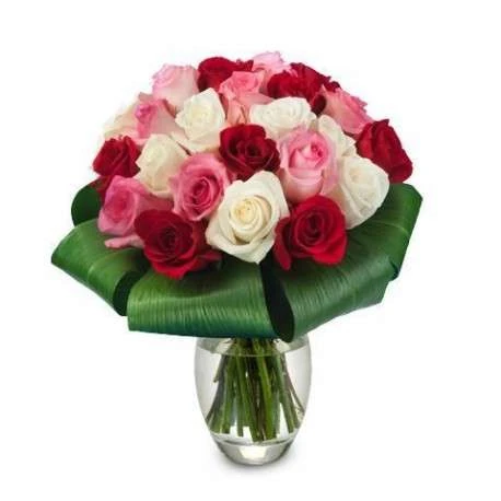 significado de las rosas rojas