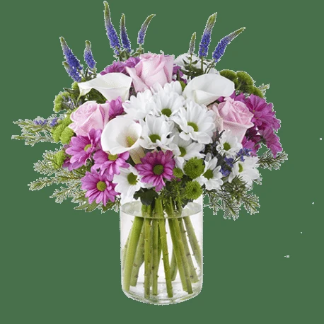 flores para pedir perdón a una amiga 