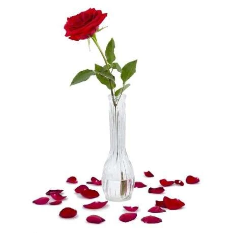 frases feliz sant Jordi 