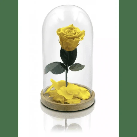 rosa eterna amarilla significado 