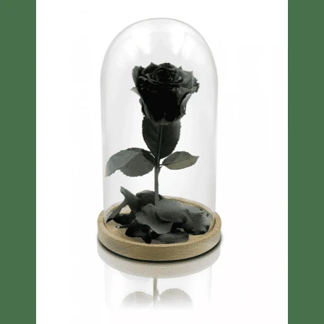 Comprar rosas de halfeti 