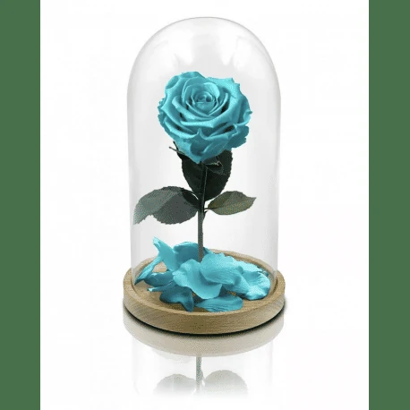 como se hacen las flores preservadas 
